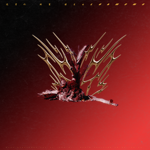 被❌到爽🔞流羞羞扒开
