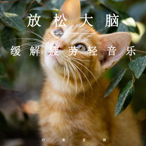 被❌到爽🔞流羞羞扒开
